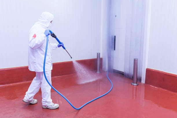 Professional Pressure Washing in Baiting Hollow, NY